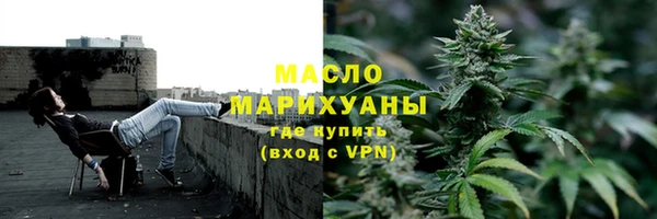 сатива Медногорск