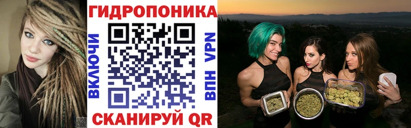 Купить закладки  Челябинск  Шишки марихуана тримм 
